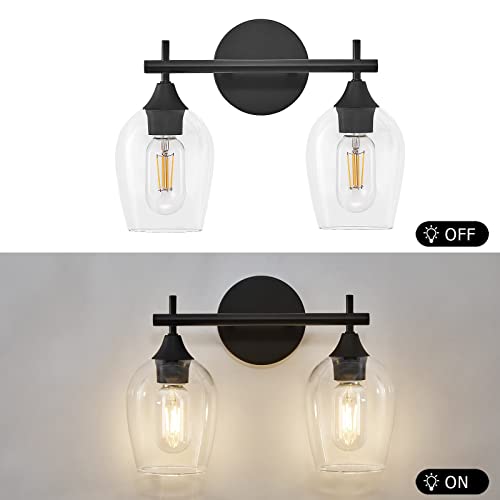 Black Vanity Lights for Bathroom,2-Ligh Bathroom Light Glass Shade