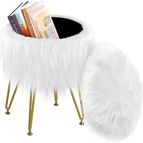 Vanity Stool Chair with Storage