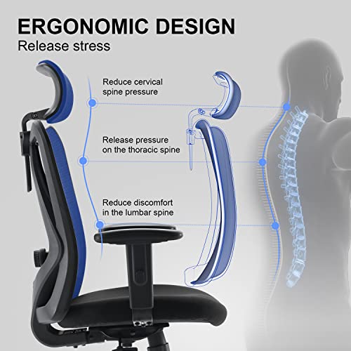 Ergonomic Office Chair