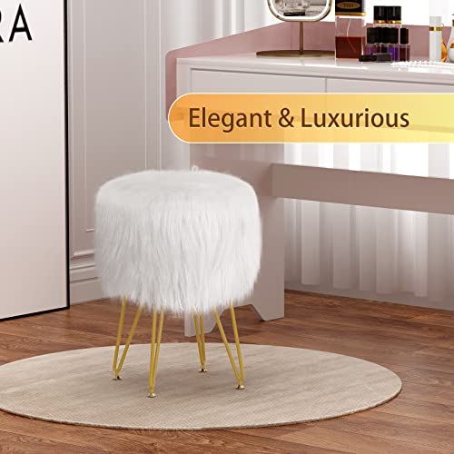 Vanity Stool Chair with Storage