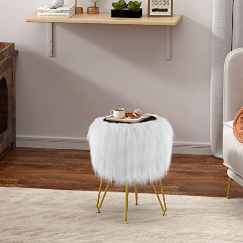 Vanity Stool Chair with Storage