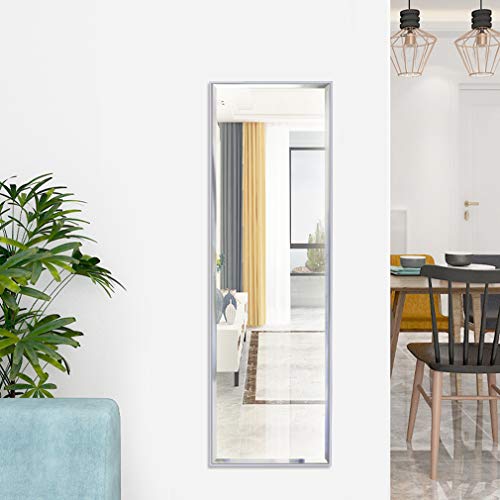 14x48 Inch Full Length Mirror Wall Mounted or Over The Door Hanging
