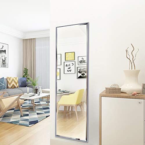 14x48 Inch Full Length Mirror Wall Mounted or Over The Door Hanging