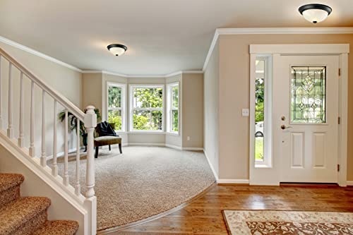 Traditional 2 Pack 2-Light Indoor Dimmable Ceiling Light with Alabaster Glass