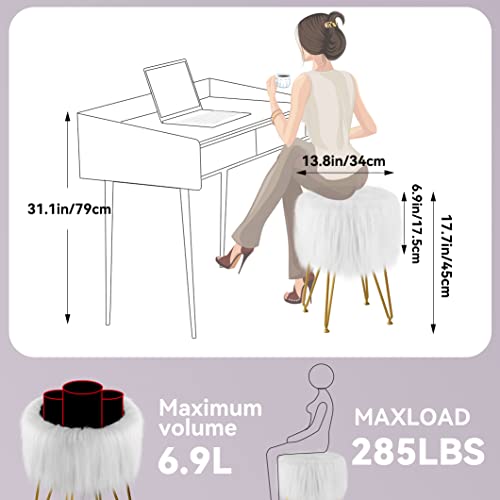 Vanity Stool Chair with Storage