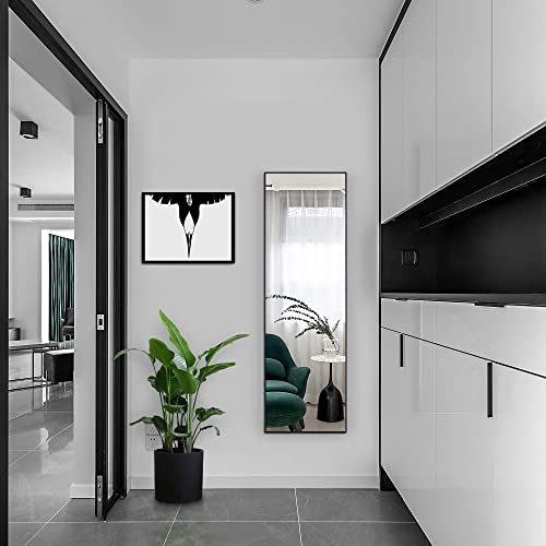 Wall Mounted Mirror, 47"x14" Full Body Mirror, Full Length Mirror