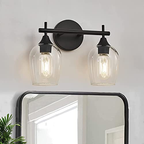 Black Vanity Lights for Bathroom,2-Ligh Bathroom Light Glass Shade
