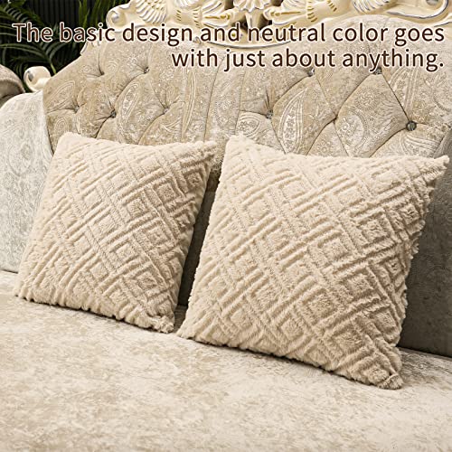 Set of 2 Couch Pillows with Inserts 18x18