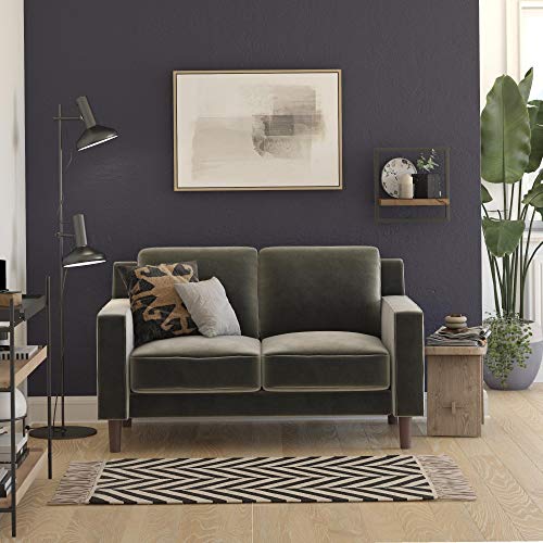 Brynn Loveseat Seater Upholstered, Living Room Furniture, Sofa, 2, Gray Velvet