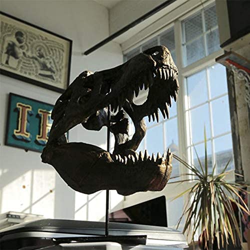 T Rex Skull, Dinosaur Bones Resin Replica Head Sculptures