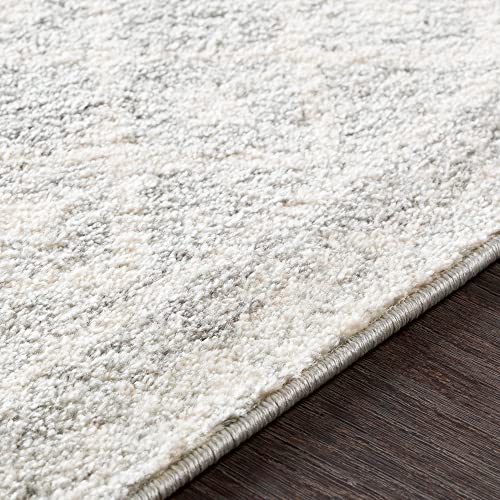 Chester Boho Moroccan Area Rug,3'11" x 5'7",Grey