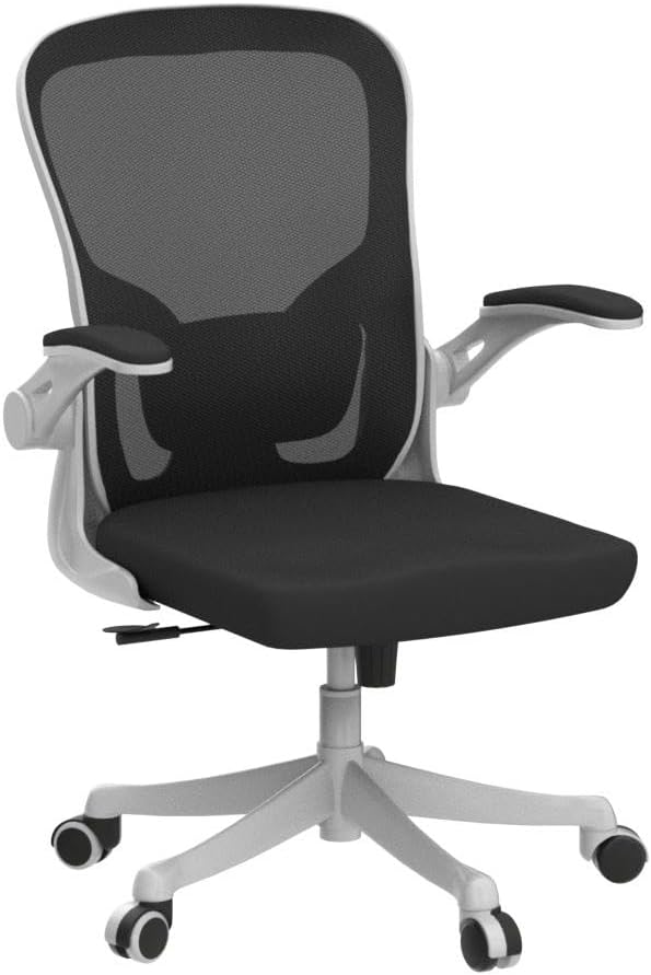 Office Chair - Ergonomic Office Chair with Lumbar Support