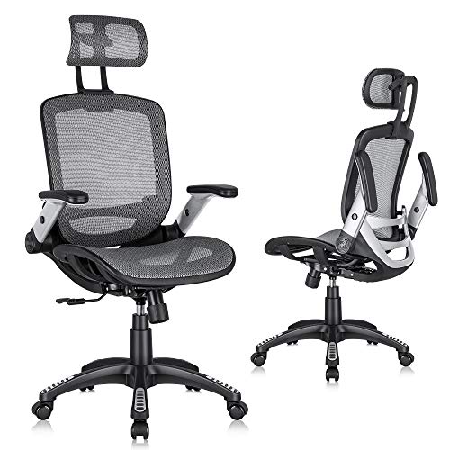 Ergonomic Mesh Office Chair, High Back Desk Chair