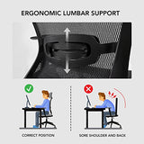 Ergonomic Office Chair High Back Mesh Swivel Computer