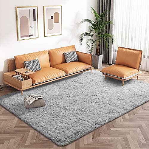 Modern Fluffy Area Rug, Shaggy Rugs for Bedroom Living Room Ultra Soft Shag Fur Carpets