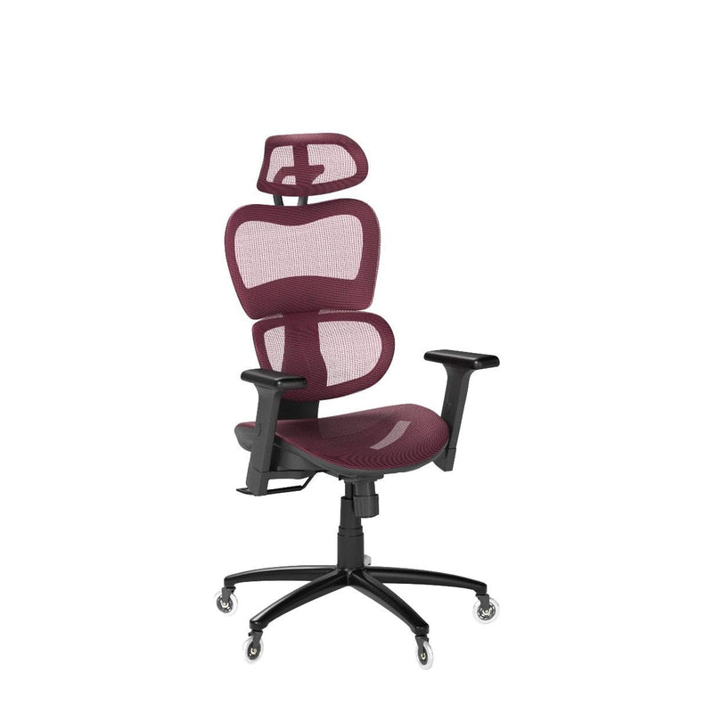 Ergo3D Ergonomic Office Chair - Rolling Desk Chair