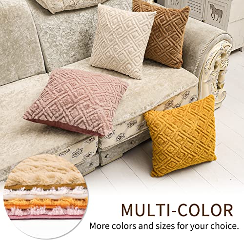 Set of 2 Couch Pillows with Inserts 18x18