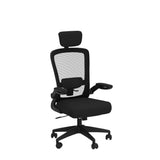 Ergonomic Office Chair, Headrest Desk Chair