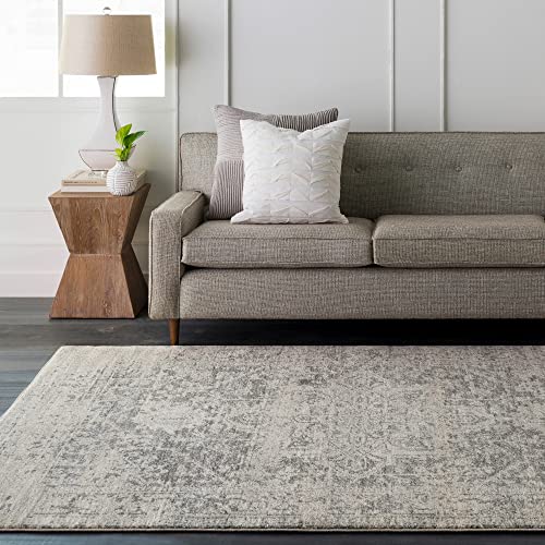 Janine Vintage Medallion Area Rug