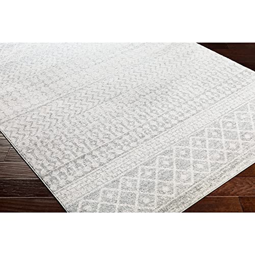 Chester Boho Moroccan Area Rug,3'11" x 5'7",Grey