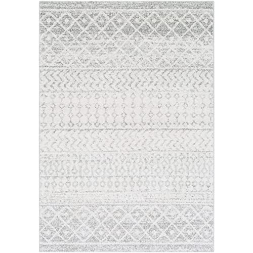 Chester Boho Moroccan Area Rug,3'11" x 5'7",Grey