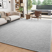 Area Rug-5x7 Rug for Living Room