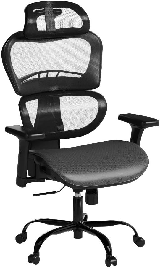 ErgoPro Ergonomic Office Chair, Rolling Desk Chair