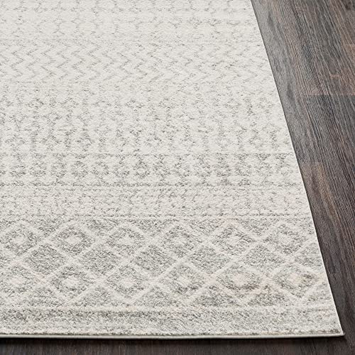 Chester Boho Moroccan Area Rug,3'11" x 5'7",Grey