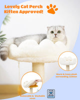 Cloud Cat Scratching Post with Bed, Cat Tree Tower