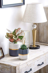 Ceramic Flower Pots for Indoor Plants 6 Inch and 4.8 Inch Modern