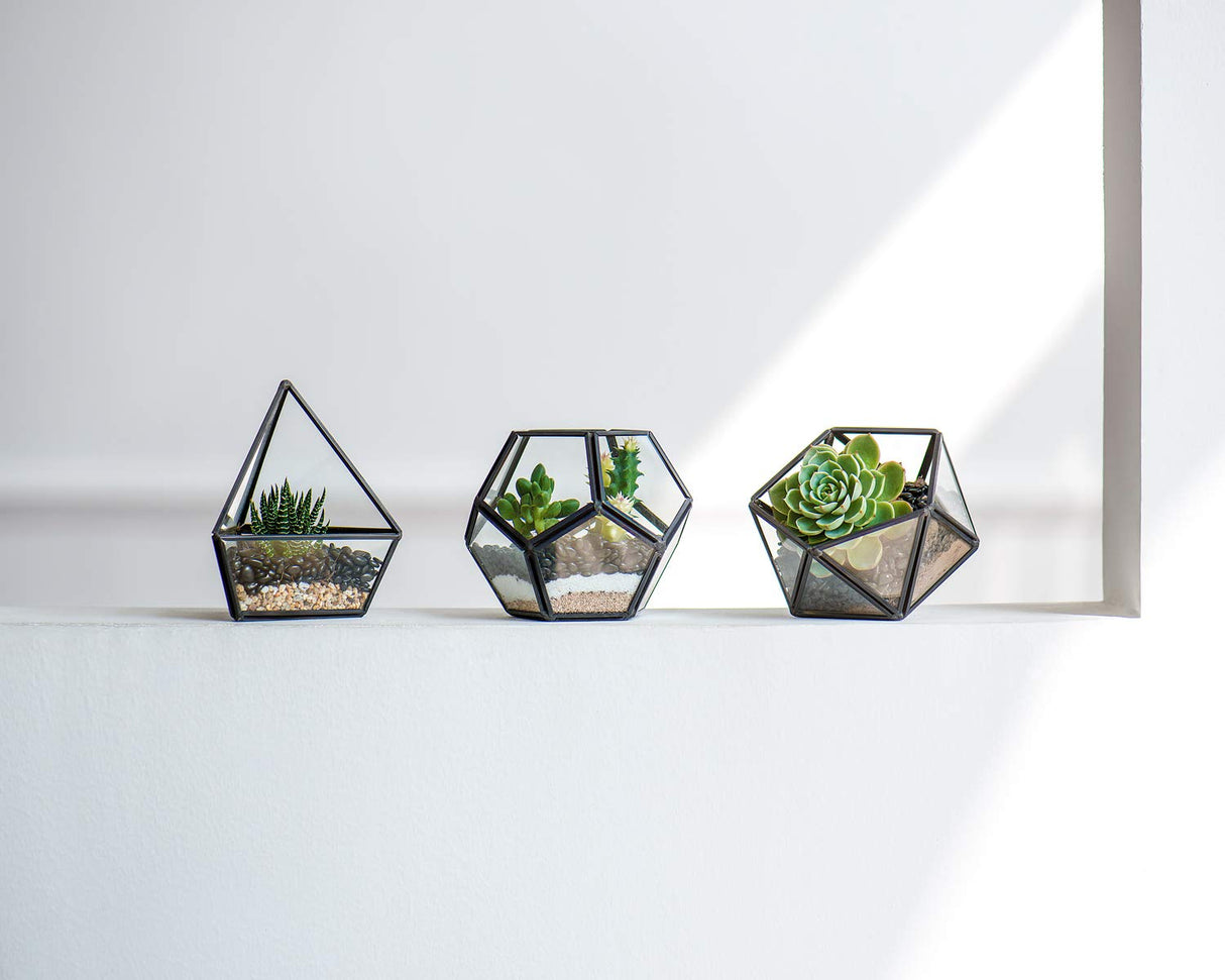 Artificial Succulent in 3 Pack Mini Glass Geometric Terrarium