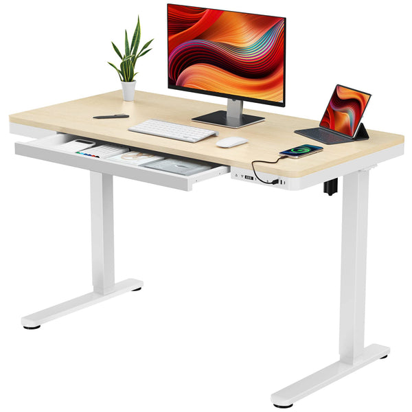 Electric Standing Desk with Drawers, Whole Piece 48 X 24 Inches Adjustable Height Desk