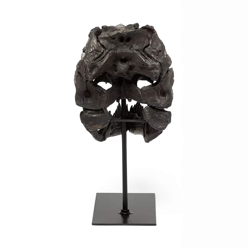 T Rex Skull, Dinosaur Bones Resin Replica Head Sculptures