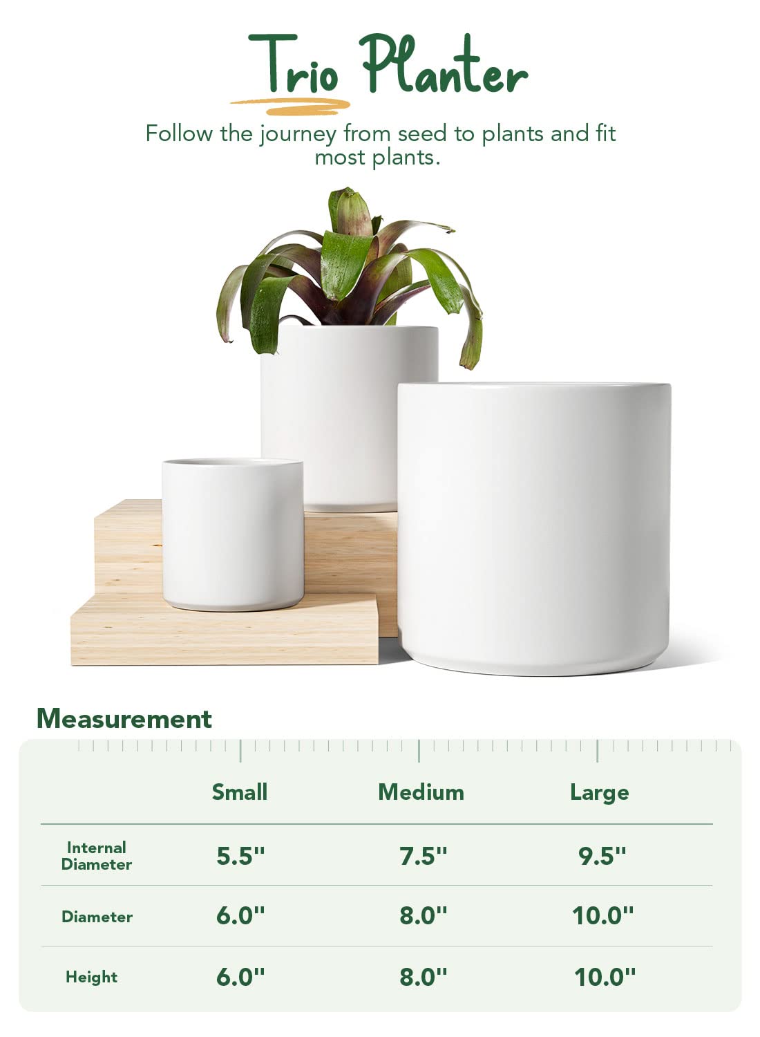 Large Plant Pots Set, 10/8/6 Inch Ceramic Planters