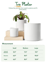 Large Plant Pots Set, 10/8/6 Inch Ceramic Planters