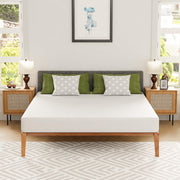 Memory Foam Mattress in a Box for Cool Sleep & Pressure Relief