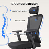 Ergonomic Mesh Office Chair with Adjustable Lumbar Support