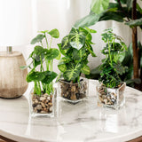 Set of 3 Artificial Plants, Faux Tabletop Greenery w/Clear Glass Pots