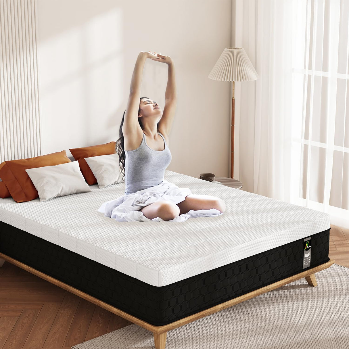 Queen Mattress in a Box - 10 Inch Memory Foam Mattress