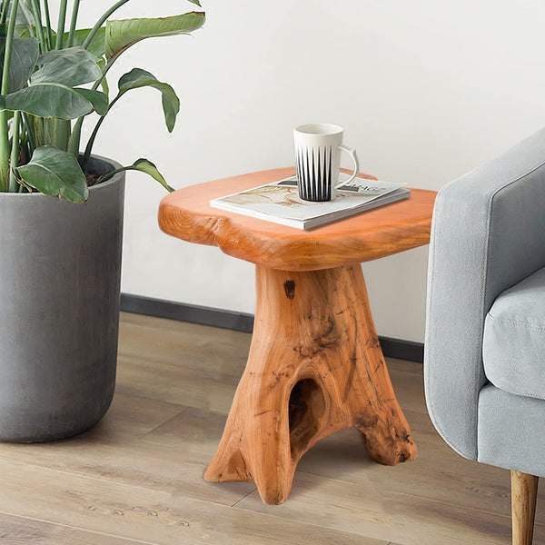 Small Side Table, Unique Design Live Edge Wood Stool, Freeform Natural Plant Stand