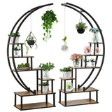 2 Pcs 6 Tier Tall Metal Indoor Plant Stand Half-Moon-Shaped Plant Shelf Holder