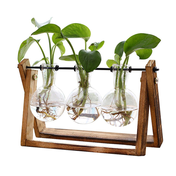 Plant Terrarium with Wooden Stand, Air Planter Bulb Glass Vase Metal Swivel Holder