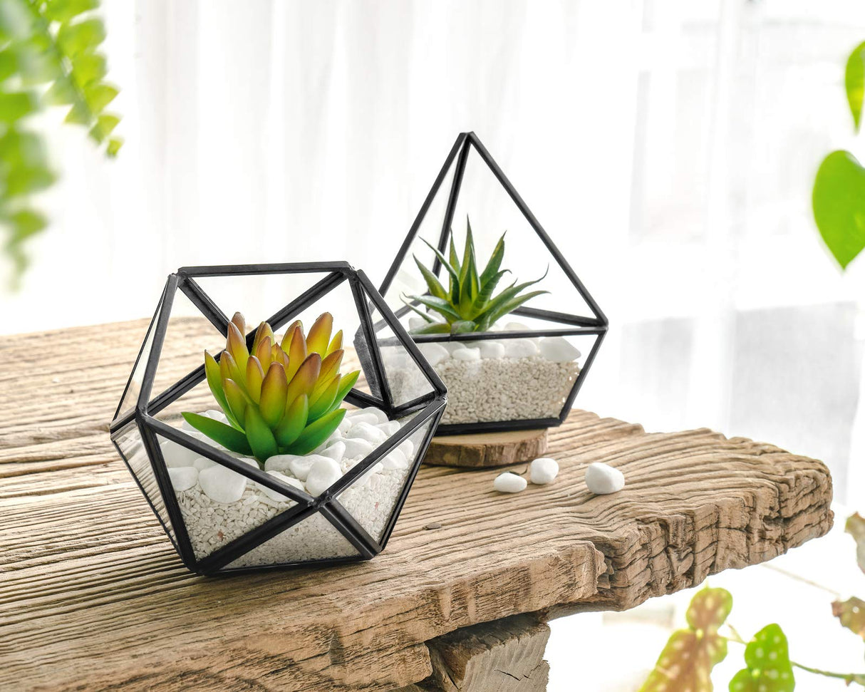 Artificial Succulent in 3 Pack Mini Glass Geometric Terrarium