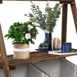 Small Ladder Shelf, 3-Tier Ladder with 3 Baskets, Wood Free Standing Display Stand