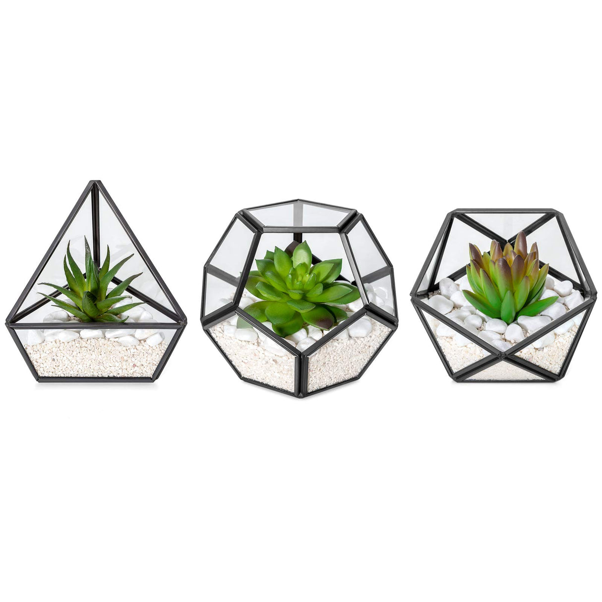 Artificial Succulent in 3 Pack Mini Glass Geometric Terrarium