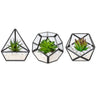 Artificial Succulent in 3 Pack Mini Glass Geometric Terrarium