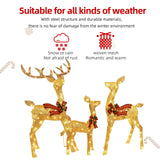 Lighted Christmas Decoration Reindeer Family