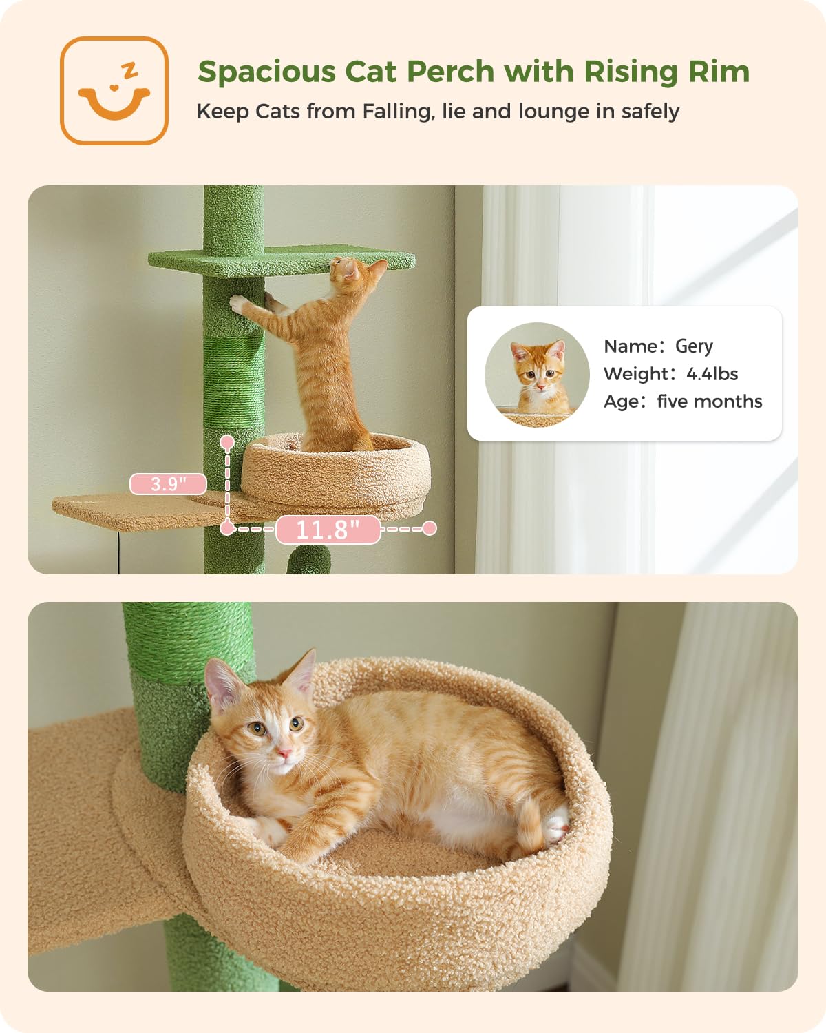 Floor to Ceiling Cat Tree [87"-100"] Height Adjustable, 5 Levels Cactus Cat Tower