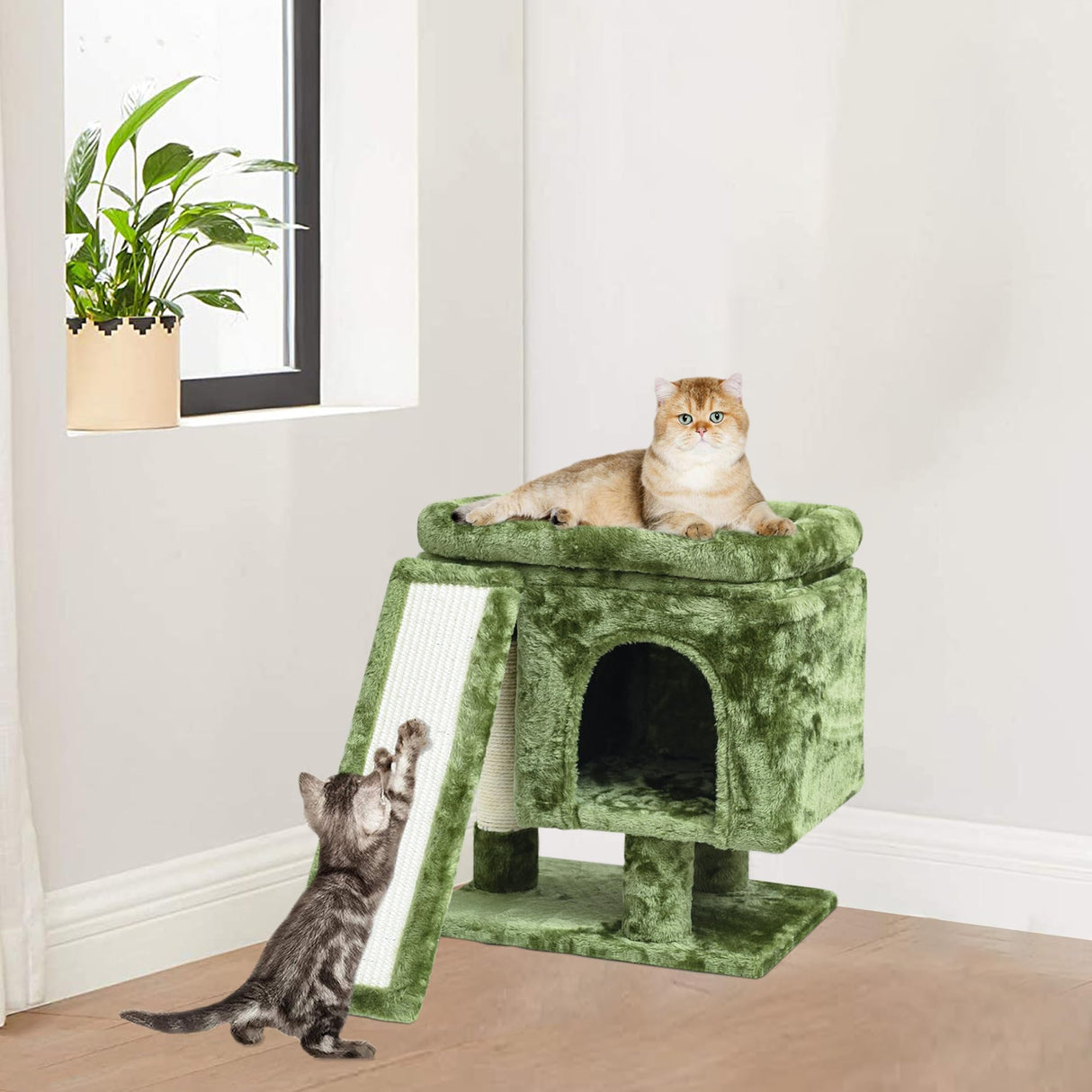 Small Cat Tree for Indoor Cats, Kittens Condo with Scratching Post and Board, Cat Cave