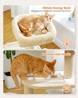 PETEPELA Cat Tree for Small Indoor Cats